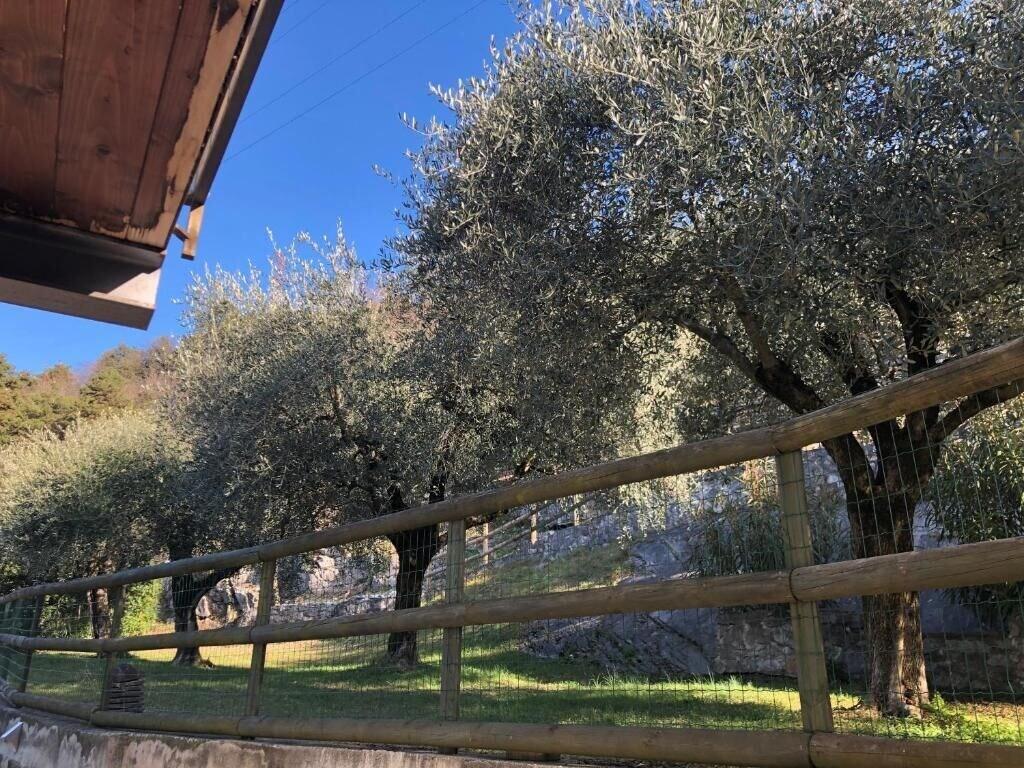 Hotel Isola Verde Torbole Sul Garda Esterno foto